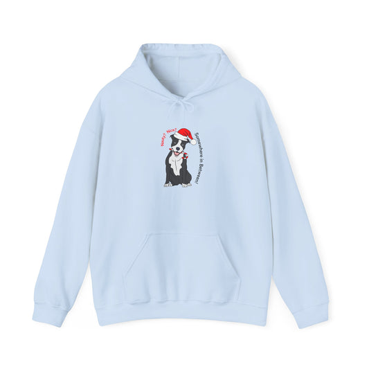 Naughty? Nice? Doggie Hooded Sweatshirt - Funny Holiday Sweatshirt for Dog Lovers